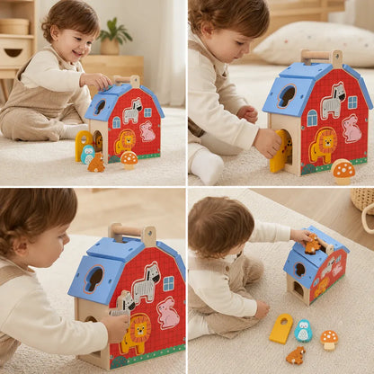 Nelokid House Shape Sorter