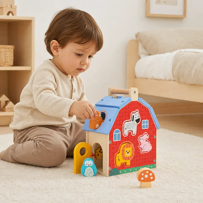 Nelokid House Shape Sorter