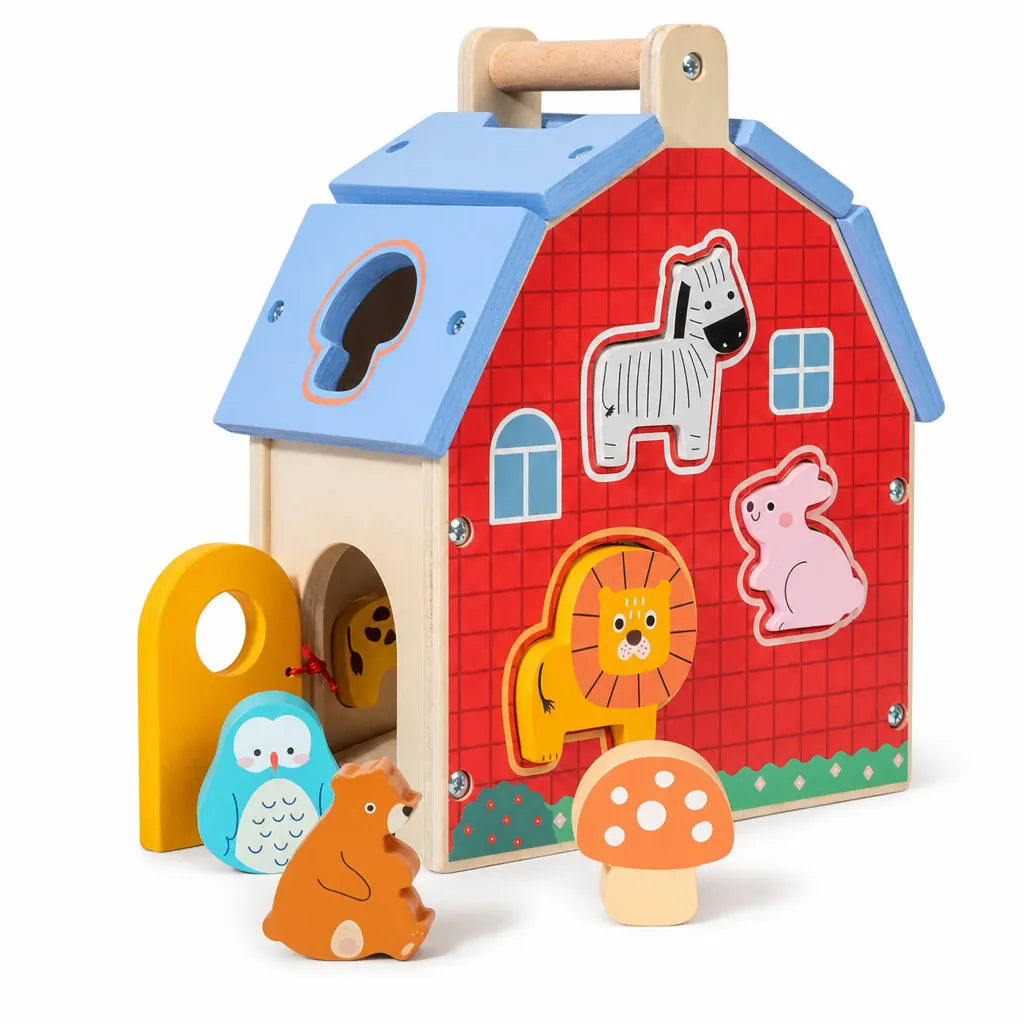 Nelokid House Shape Sorter