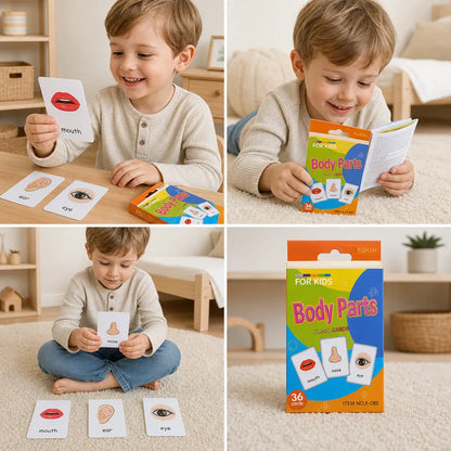Nelokid Children Learning Flash Cards
