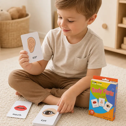 Nelokid Children Learning Flash Cards