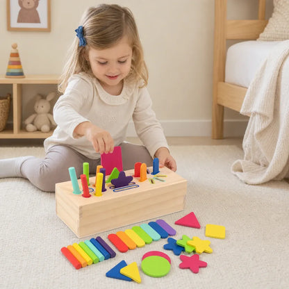 Nelokid Shape Sorting Toys
