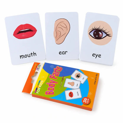 Nelokid Children Learning Flash Cards